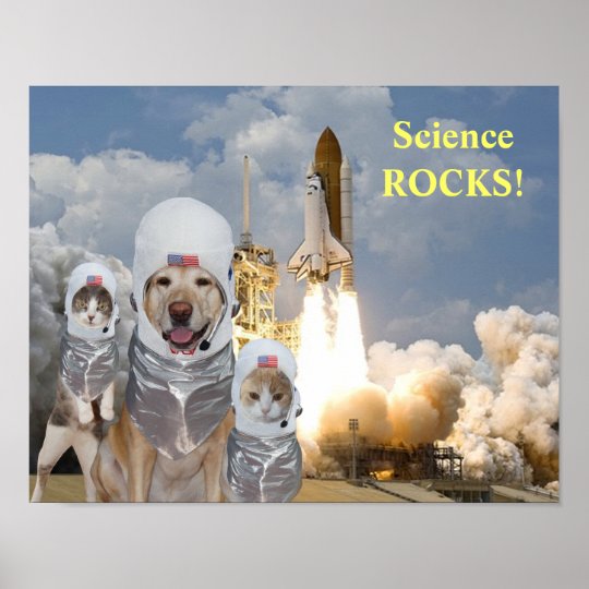 おもしろい犬または猫の宇宙飛行士科学ポスター ポスター Zazzle Co Jp