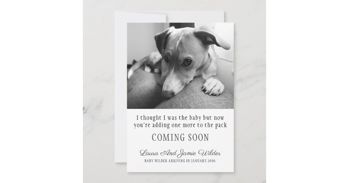 おもしろい犬妊娠告知 案内状 Zazzle Co Jp おもしろい犬妊娠告知 案内状 Zazzle Co Jp