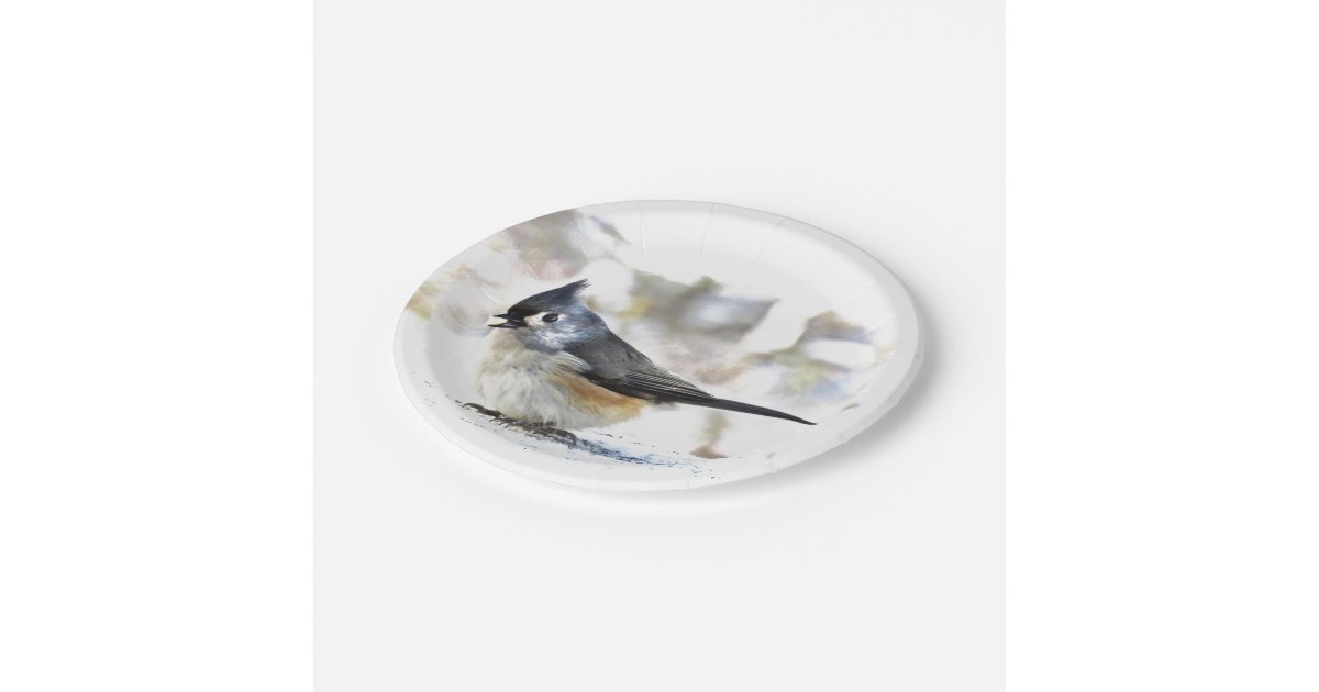 かわいいエボシガラの鳥の紙皿 ペーパープレート Zazzle Co Jp