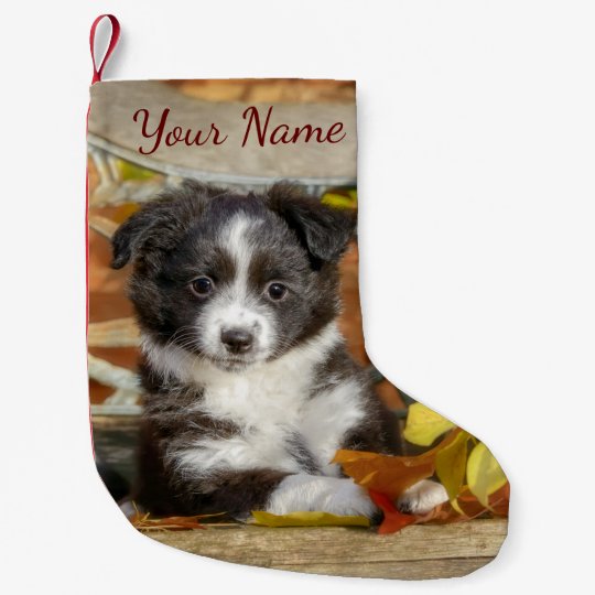 かわいいオージー シェパード犬バイカラー子犬 スモールクリスマスストッキング Zazzle Co Jp