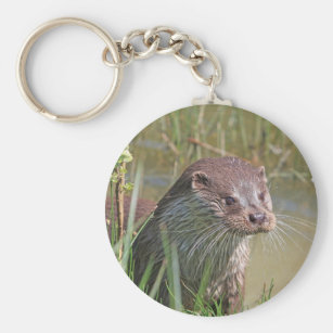 カワウソ 動物 野生 野性 生物キーホルダー Zazzle Co Jp