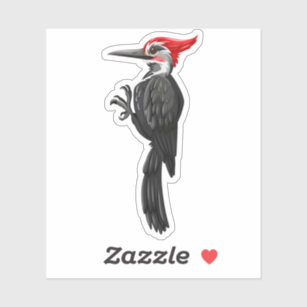 キツツキシール Zazzle Co Jp キツツキシール Zazzle Co Jp