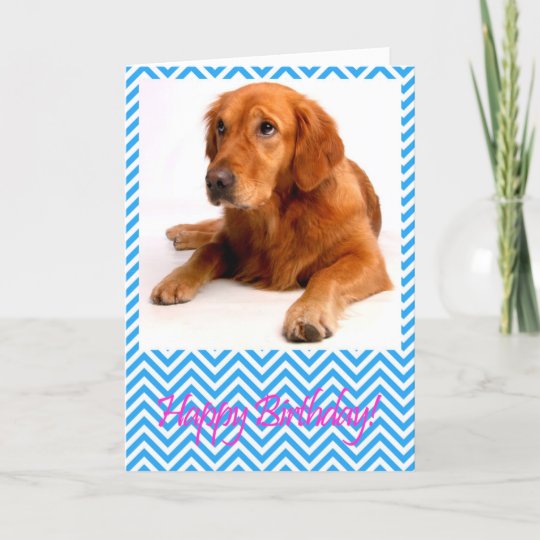 かわいいゴールデン リトリーバー犬のハッピーバースデーカード カード Zazzle Co Jp