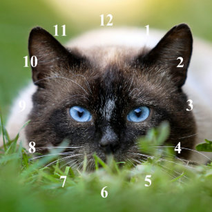 シャム 猫アート Zazzle Co Jp シャム 猫アート Zazzle Co Jp
