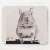 Love Degu Life 平和のデグー アクセサリー キーホルダー キーホルダー Zazzle Co Jp