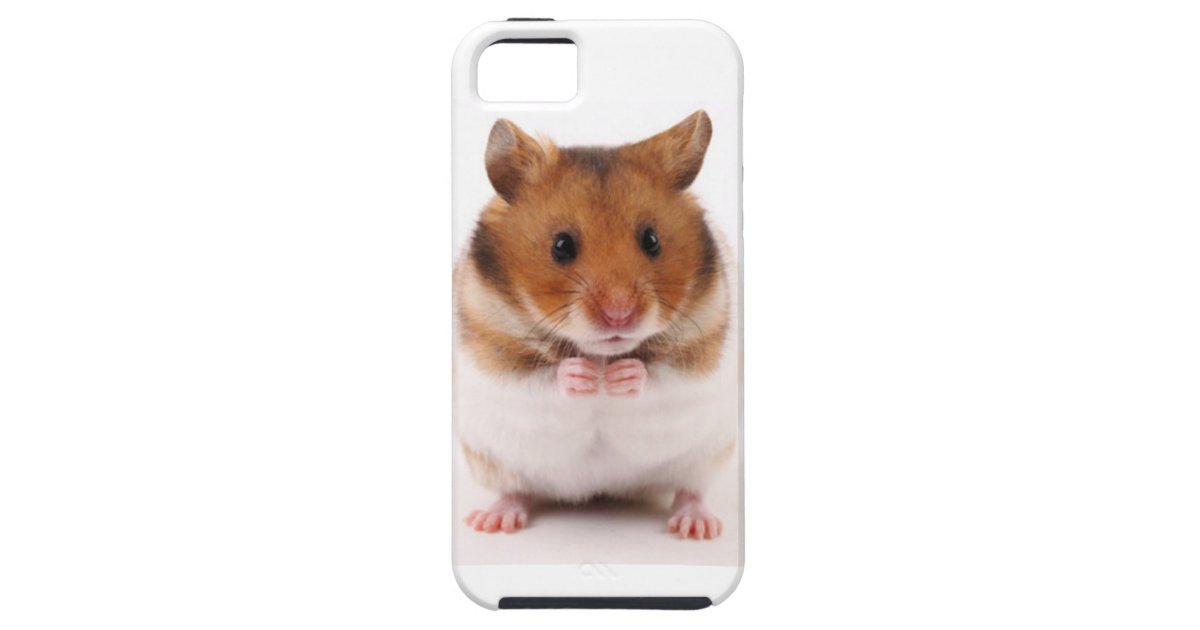 かわいいハムスターのスナネズミのiphone 5の場合 Case Mate Iphoneケース Zazzle Co Jp