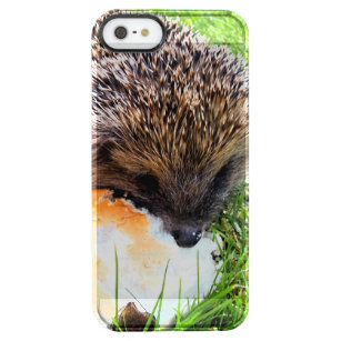 かわいい ハリネズミiphone 5 5sケース Zazzle Co Jp