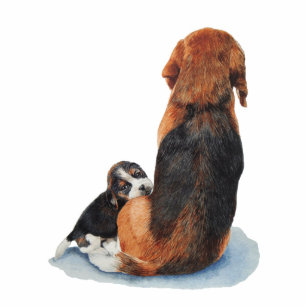 動物 動物 ビーグル 犬 ビーグル 犬 子犬 犬 かわいい 子犬 子犬マグネット Zazzle Co Jp