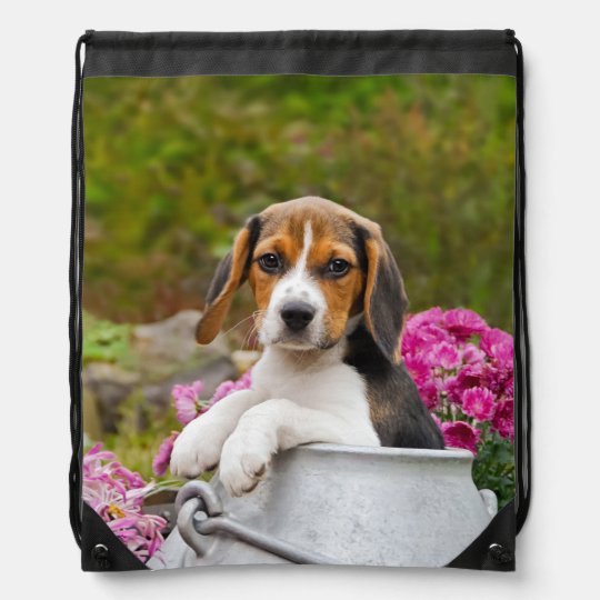 かわいいビーグル犬の子犬の頭写真 ナップサック Zazzle Co Jp かわいいビーグル犬の子犬の頭写真 ナップサック Zazzle Co Jp