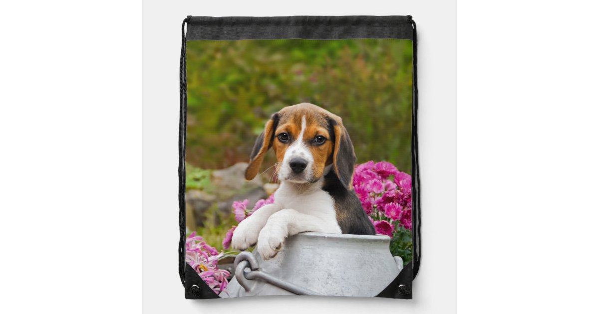かわいいビーグル犬の子犬の頭写真 ナップサック Zazzle Co Jp