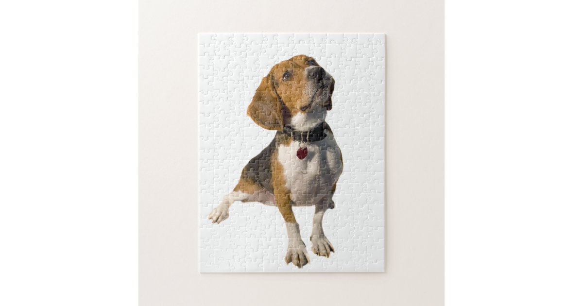 かわいいビーグル犬犬 ジグソーパズル Zazzle Co Jp