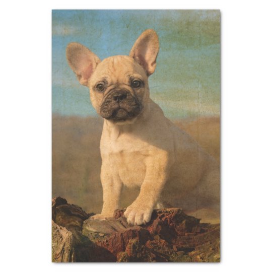 かわいいフレンチ ブルドッグの子犬 ヴィンテージ 薄葉紙 Zazzle Co Jp