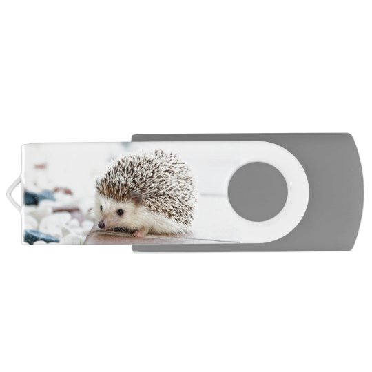 かわいいベビーのハリネズミ Usbフラッシュドライブ Zazzle Co Jp かわいいベビーのハリネズミ Usbフラッシュドライブ Zazzle Co Jp