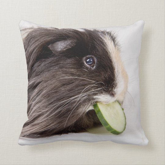 かわいいモルモットの食べ物のきゅうりが付いているクッション クッション Zazzle Co Jp