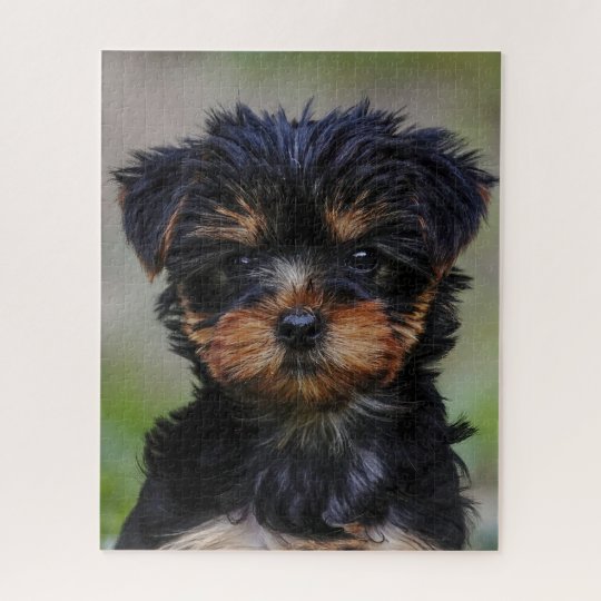 かわいいヨークシャーテリア子犬 ジグソーパズル Zazzle Co Jp