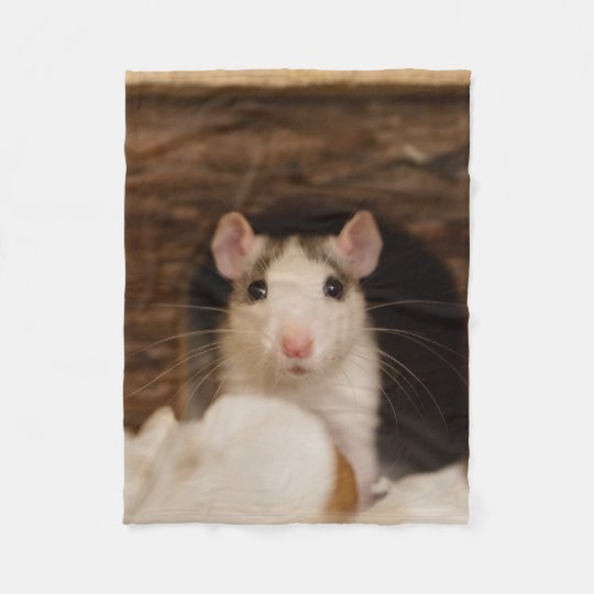 かわいいラット フリースブランケット Zazzle Co Jp かわいいラット フリースブランケット Zazzle Co Jp