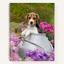動物 動物 ビーグル 犬 ビーグル 犬 子犬 犬 かわいい 子犬 子犬オフィス スクール Zazzle Co Jp 動物 動物 ビーグル 犬 ビーグル 犬 子犬 犬 かわいい 子犬 子犬オフィス スクール Zazzle Co Jp