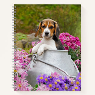 動物 動物 ビーグル 犬 ビーグル 犬 子犬 犬 かわいい 子犬 子犬オフィス スクール Zazzle Co Jp 動物 動物 ビーグル 犬 ビーグル 犬 子犬 犬 かわいい 子犬 子犬オフィス スクール Zazzle Co Jp