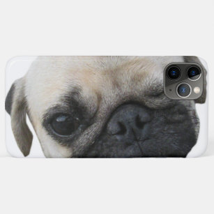 パグ 子犬iphone 5c ケース Zazzle Co Jp