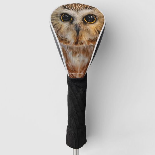 かわいい小さな北の方が白いフクロウを見た ゴルフヘッドカバー Zazzle Co Jp かわいい小さな北の方が白いフクロウを見た ゴルフヘッドカバー Zazzle Co Jp