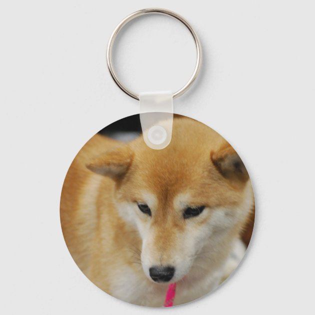 年末のプロモーション大特価!年末のプロモーション大特価!柴犬 グッズ 雑貨 柴犬 千社札風シール その他犬用品 柴犬 ミニステッカー(キリリ顔) グッズ 雑貨 車 バイク スマートフォン 名前 名入れ