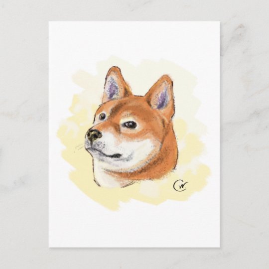 かわいい柴犬犬のスケッチ ポストカード Zazzle Co Jp