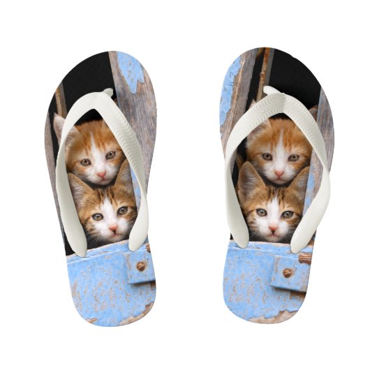 かわいい猫が青いウィンドウで子猫をヴィンテージに キッズビーチサンダル Zazzle Co Jp