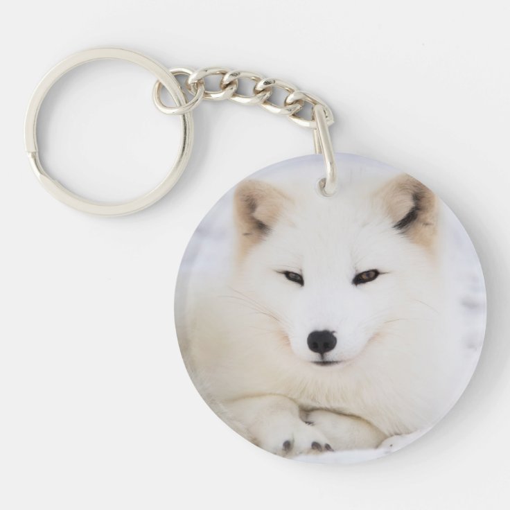 かわいい白い白い狐 キーホルダー Zazzle Co Jp