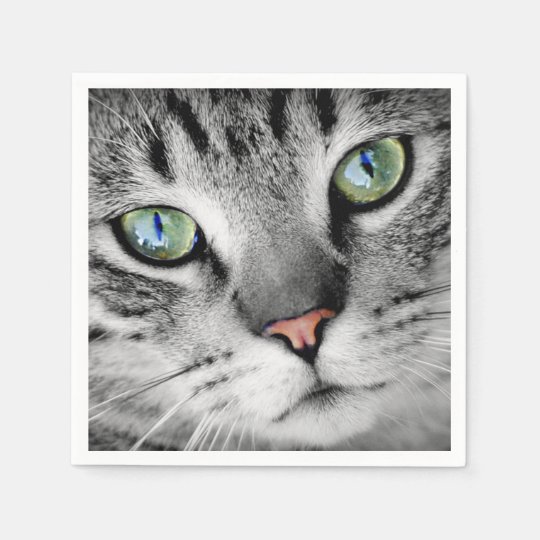 かわいい緑色の目の猫のポートレート スタンダードカクテルナプキン Zazzle Co Jp