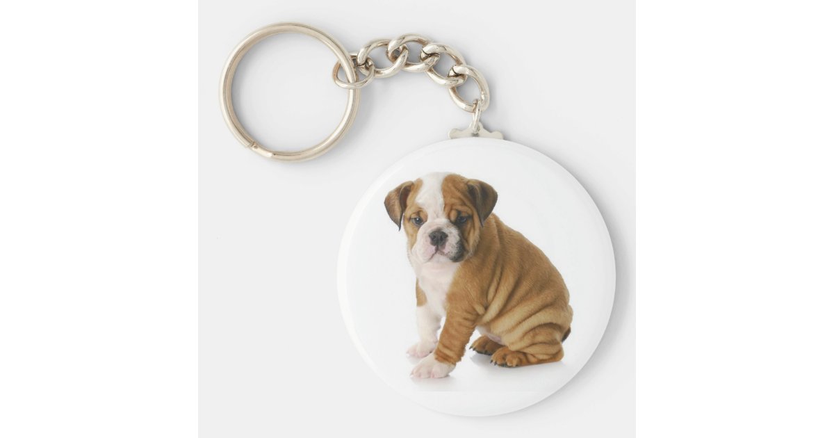 かわいい英語のブルドッグ犬の子犬キーチェーン キーホルダー Zazzle Co Jp