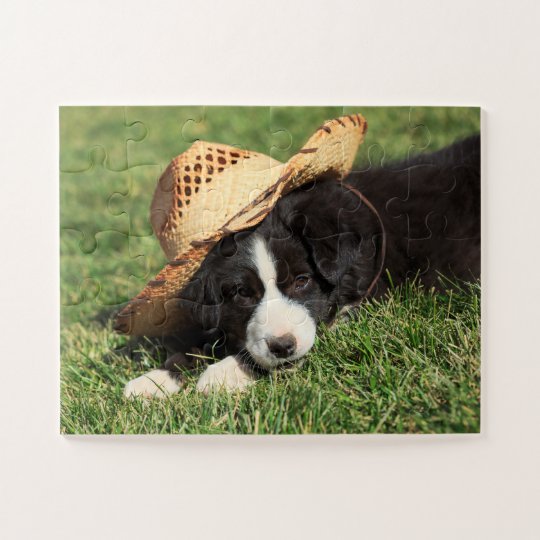 かわいい西部のカウボーイのボーダーコリーの子犬の写真 ジグソーパズル Zazzle Co Jp