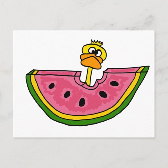アおもしろいヒル食べスイカ ポストカード Zazzle Co Jp