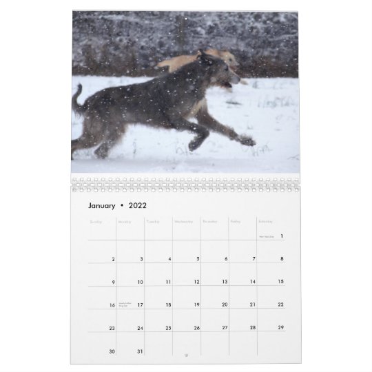 アイリッシュ ウルフハウンド12年 カレンダー Zazzle Co Jp アイリッシュ ウルフハウンド12年 カレンダー Zazzle Co Jp