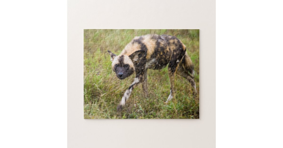 アフリカ ワイルド ドッグ リカオン ピクタス マディクウェ ゲーム ジグソーパズル Zazzle Co Jp アフリカ ワイルド ドッグ リカオン ピクタス マディクウェ ゲーム ジグソーパズル Zazzle Co Jp