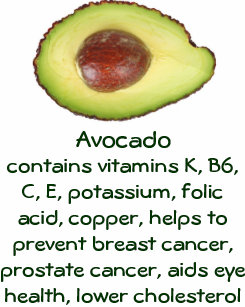 解剖ベビーアパレル Zazzle Co Jp