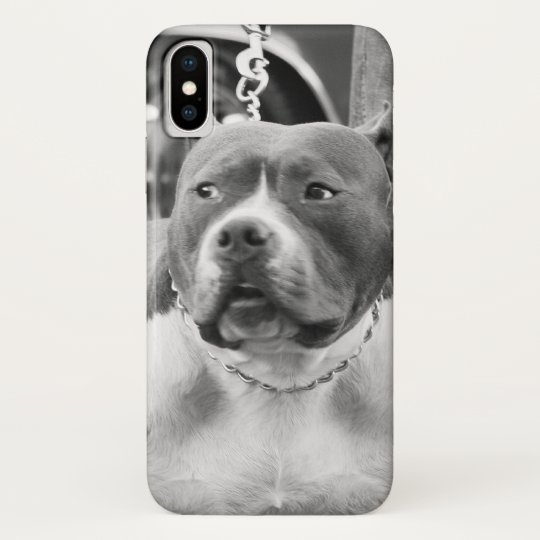 アメリカのいじめっ子犬 Case Mate Iphoneケース Zazzle Co Jp