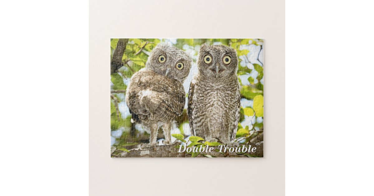 アメリカオオコノハズクのひよこ ジグソーパズル Zazzle Co Jp アメリカオオコノハズクのひよこ ジグソーパズル Zazzle Co Jp