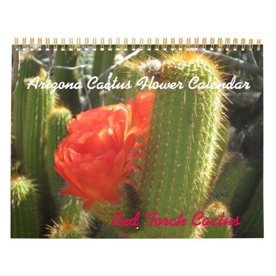 アリゾナのサボテンの花のカレンダー カレンダー Zazzle Co Jp