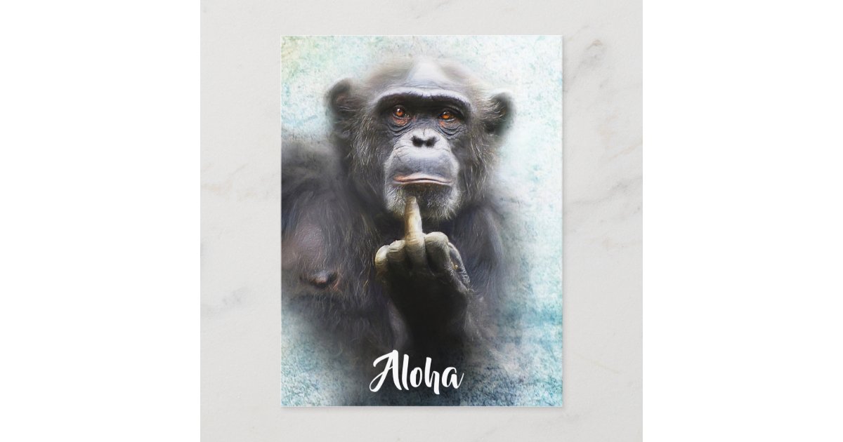アロハ中指の挨拶のおもしろいなサルの抗勢 ポストカード Zazzle Co Jp アロハ中指の挨拶のおもしろいなサルの抗勢 ポストカード Zazzle Co Jp
