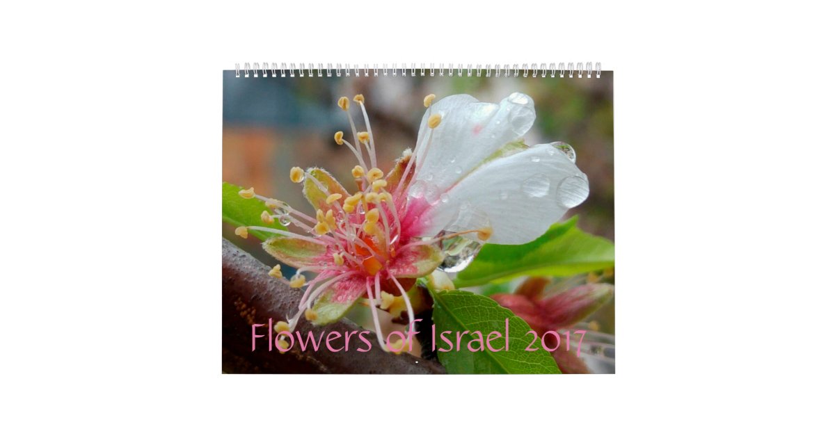 イスラエル共和国の花 17カレンダー カレンダー Zazzle Co Jp