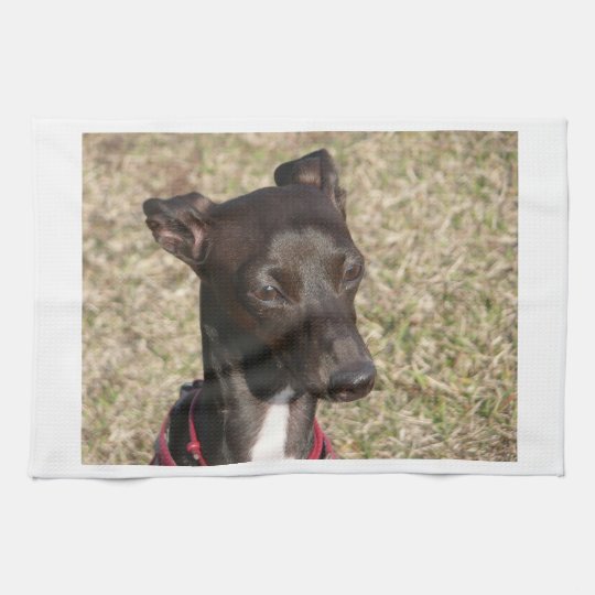 イタリア語greyhound Png キッチンタオル Zazzle Co Jp