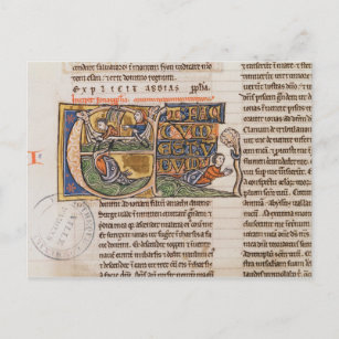 フランスポストカード Zazzle Co Jp