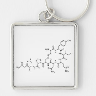 化学 記号キーホルダー Zazzle Co Jp