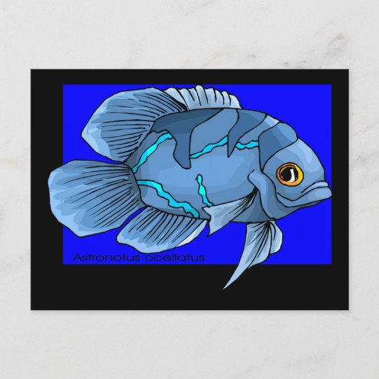オスカーの美しく青い熱帯魚 ポストカード Zazzle Co Jp