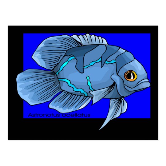 オスカーの美しく青い熱帯魚 ポストカード Zazzle Co Jp