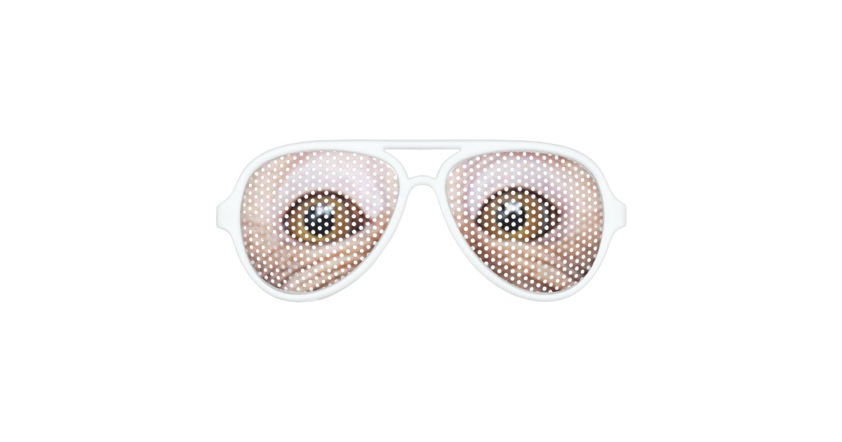 オタク系のでおもしろいな猿の目 アビエーターサングラス Zazzle Co Jp オタク系のでおもしろいな猿の目 アビエーターサングラス Zazzle Co Jp