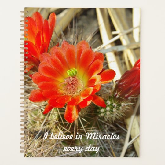 オレンジサボテンの花 ニューメキシコの奇跡 プランナー手帳 Zazzle Co Jp