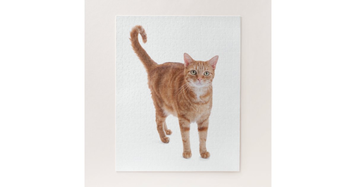 オレンジ虎猫猫 ジグソーパズル Zazzle Co Jp