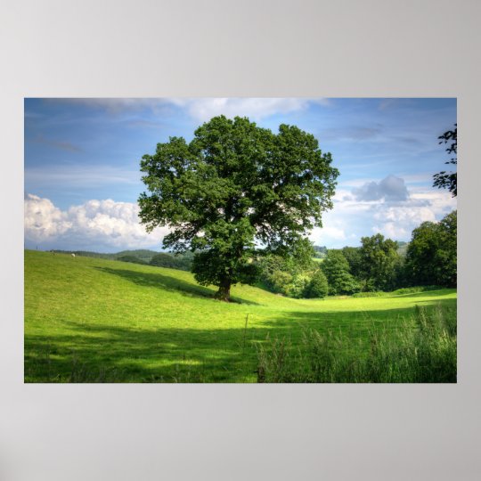 オークの木の緑の夏の美しい景色 ポスター Zazzle Co Jp