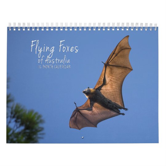 オーストラリアのオオコウモリのこうもりのカレンダー 3つのサイズ カレンダー Zazzle Co Jp